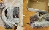 Телефон и SIM-карту пытались передать заключённому в финиках в Павлодаре